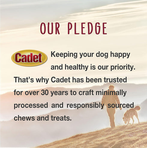 Cadet Gourmet Shish Kabob Dog Treats for Large Dogs, Healthy & Natural Chicken & Sweet Potato Chew Sticks, Pork Hide, Extra Large 10 Inch, 4 Count...