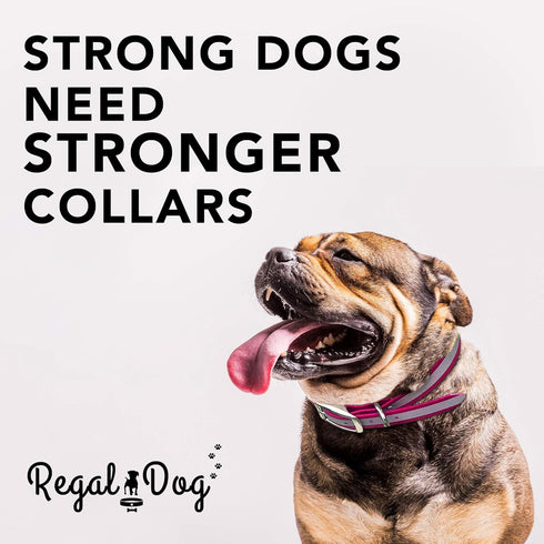 Regal Dog Products Medium Pink Heavy Duty Reflective Dog Collar with Durable Metal Buckle and D Ring Adjustable, Chew Proof & Waterproof Center Ri...