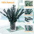 Dried Eucalyptus Leaves Shower Decor - 18PCS 17” Large Fresh Eucalyptus Shower Plant for Shower Eucalyptus Hanging Artificial Flower Green Bathroo...