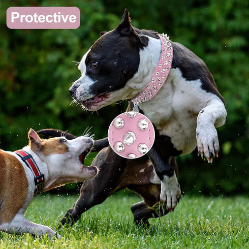 Dog Collars for Medium Dogs with Leash, Epesiri Spiked Dog Collar for Large Dogs, Girl Pink Dog Collar, Studded Rivet Pit Bull Leather Dog Collar ...