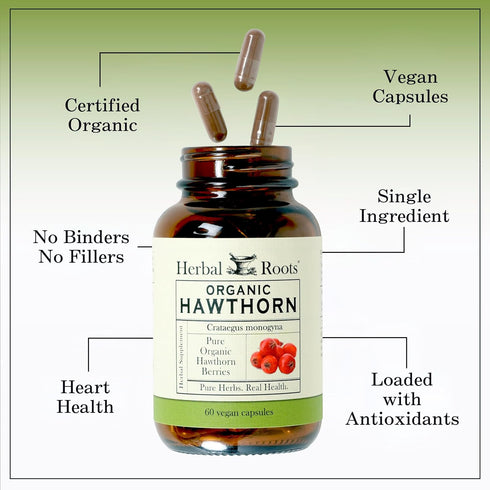 Herbal Roots Organic Hawthorn Berry Capsules | Extra Strength 1,200mg per Serving | 60 Vegan Capsules...
