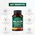 Sea Moss Black Seed Oil Ashwagandha Ginger Burdock Root Turmeric Black Pepper | All in 1 Supplement, 60 Capsules | Seamoss Pills for Men & Women |...
