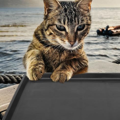 Cabilock 2pcs Pet Cage Tray Dog Poop Pan Accessory Tray Pet Potty Tray Dog Poop Tray Pet Poop Tray Plastic Crate Pan Dog Kennel Pan Rabbit Tray Do...