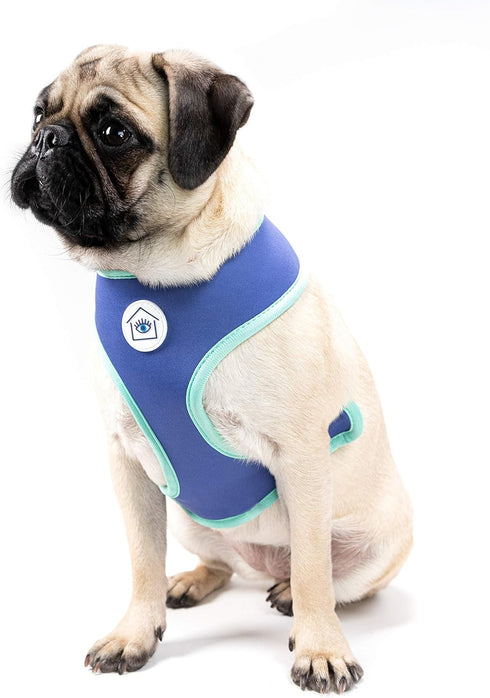 Now House for Pets by Jonathan Adler Terrazzo Reversible Harness, Medium | Stylish, Fashionable, and Functional Way to Keep Your Dog Looking Great...