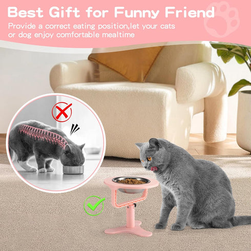 Elevated Cat Bowls Adjustable Cat Bowl Stand,Non-Slip Raised Cat Bowls Stainless Steel Raised Cat Bowls with 15°Tilted Stand for Cats and Puppy Pi...