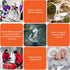 6 Pack Emergency Mylar Blanket, Emergency Blanket Space Blanket Survival Rescue Insulating Reflective foil kit Outdoors Hiking Camping Blanket Per...