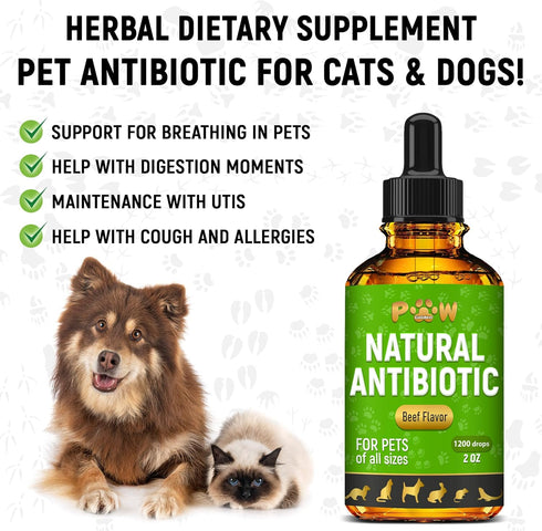 Antibiotic for Cats | Natural Antibiotics for Dogs | Cat Antibiotics | Dog Antibiotic | Antibiotic for Dogs | Natural Antibiotics for Cats | Natur...
