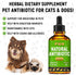 Antibiotic for Cats | Natural Antibiotics for Dogs | Cat Antibiotics | Dog Antibiotic | Antibiotic for Dogs | Natural Antibiotics for Cats | Natur...