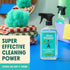 Aunt Fannie's All Purpose Household Cleaner, Multi-surface Spray, Powered by Vinegar for Kitchen, Bath, Windows and Countertops, Eucalyptus Scent ...