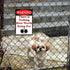 Funny No Trespassing Sign, Metal Warning Tin Signs, Nothing Here Worth Dying for, Yard Sign Garage Farm Garden Wall Decor Sign Plaque Outdoor for ...