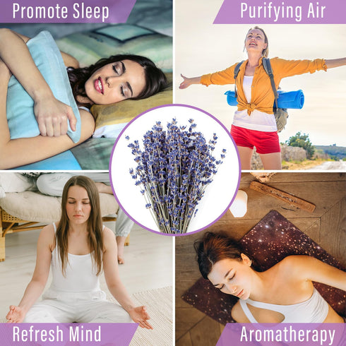 MAQ's Dried Lavender Bundles - 100% Natural Dried Lavender Flowers with 300 Stems (16-17 Inches) for Home Fragrance, Weddings & Party Decoration |...