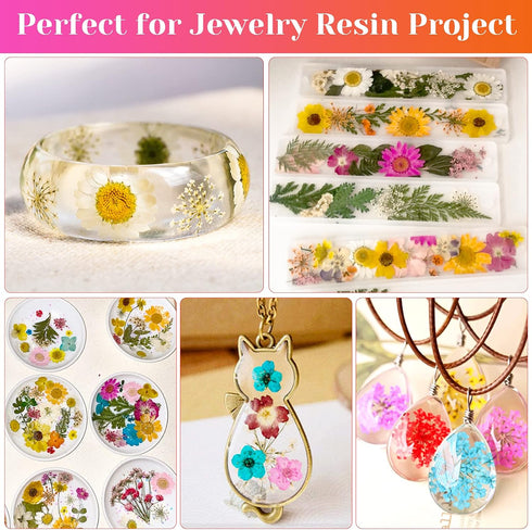 Real Dried Pressed Flowers for Resin, Natural Dry Flowers Leaves Bulk Herbs Kit for DIY Scrapbooking Stamping Supplies Epoxy Resin Jewelry Molds C...