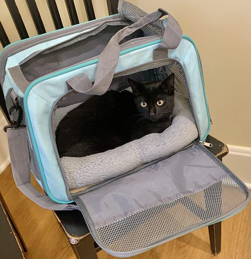 Enjoying Plush Cat Bed Mat 10" x 15" Pet Cushion with Pillow Around for Puppy Curling Sleep Cat Pad for Cat Carrier/Crate Dog Self-Warm Bed, Antis...
