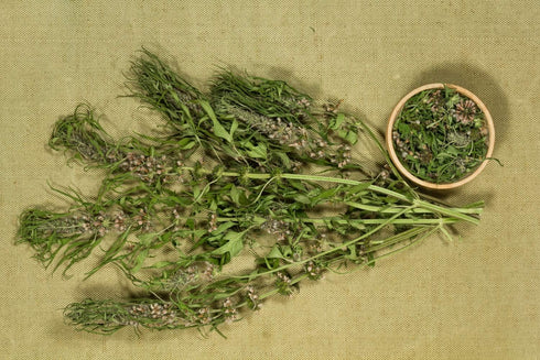 Health Embassy Motherwort Herb | Leonurus Cardiaca L | Herbal Tea (100g)...