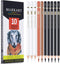 MARKART Charcoal Pencils for Drawing, 10 Pack Black & White Charcoal Pencils for Sketching, Shading, Blending, Artist Pencil for Beginners & Artis...