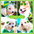 80pcs St.Patrick's Day Dog Bows, Holiday Pet Samll Dog Hair Grooming Bows with Rubber Bands, St.Patrick's Day Green Lucky Clover Element Dog Hair ...