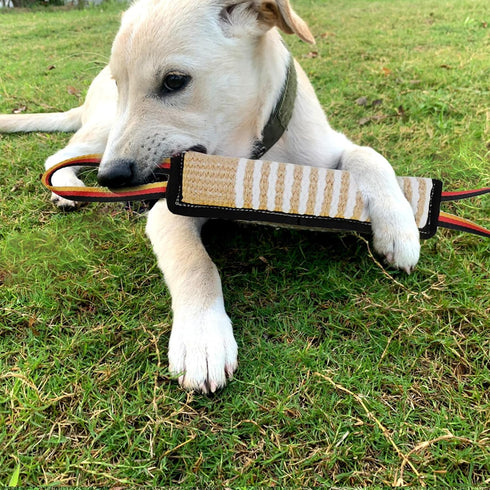 ASOCEA Dog Tug Toy,Dog Bite Jute Pillow Pull Toy Tough Squeaky Dog Toys for Aggressive Chewers with 2 Handles Bite Toys for Medium to Large Dogs I...