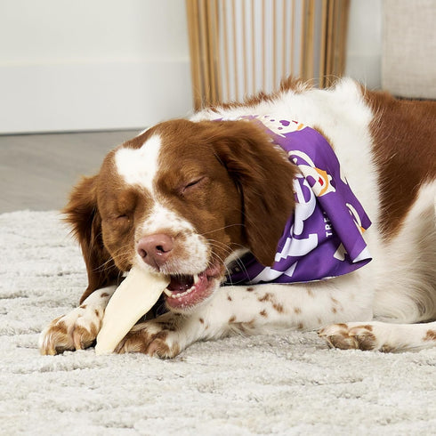 USA Beefhide Chips Dog Chew Treats - Natural Flavor, 12oz/1 Pack...