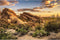 Reptile Habitat Background Blue Sky Sunset Oasis Cactus and Desert Terrarium Background Natural Landscape Tank Backdrop Wallpaper Aquarium Backgro...