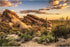 Reptile Habitat Background Blue Sky Sunset Oasis Cactus and Desert Terrarium Background Natural Landscape Tank Backdrop Wallpaper Aquarium Backgro...