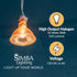Simba Lighting Halogen MR16 20W 12V Light Bulbs (10 Pack) for Landscape, Track Lights, Fiber Optics, Desk Lamps, BAB C Spotlights with Glass Cover...