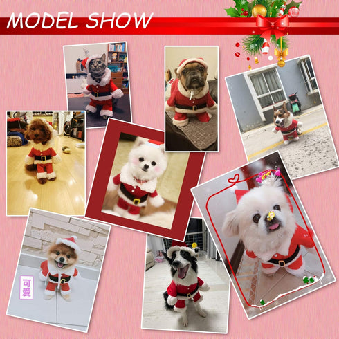 QETRABONE Small Santa Dog Cat Costume Christmas Pet Clothes Outfits Red Christmas Santa Claus Hat Scarf Cosplay Dressing up Xmas Party New Year Cl...