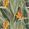 HAOKHOME 93375 Peel and Stick Wallpaper Tropical Florals Removable Stick on Contact Paper for Bedroom Green/Orange 17.7in x 9.8ft...