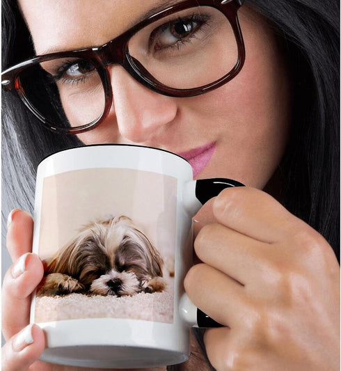 3dRose Ceramic Shih Tzu Sleeping Best Friend Mug, 1 Count (Pack of 1), Black...