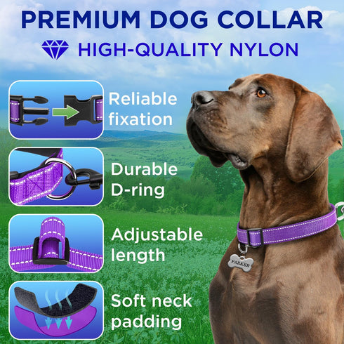 TECEUM Reflective Pet Collar – Purple – L – Extra Soft Padding – Basic Nylon Dog Collar – Quick Release Buckle – Fits Small, Medium and Large Dogs...