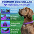 TECEUM Reflective Pet Collar – Purple – L – Extra Soft Padding – Basic Nylon Dog Collar – Quick Release Buckle – Fits Small, Medium and Large Dogs...