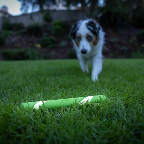 Chuckit! Max Glow Ultra Fetch Stick Outdoor Dog Toy, 12 Inches, for All Breed Sizes...