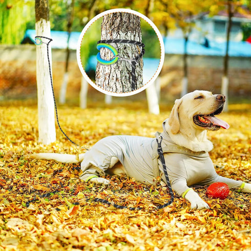 NTR Dog Rope Leash, 20FT Recall Training Lead with 2 Swivel Hooks, Reflective Threads and Soft Rubber Handle, Puppy Leash for Walking, Hunting, Ca...