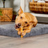 Pet Factory American Beefhide 5" Chip Rolls Dog Chew Treats - Chicken Flavor, 8 Count/1 Pack...