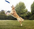 Natural Rubber Flying Disc Dog Toy?Suitable for Playing Outdoors, on The Beach, in The Courtyard?Blue?...