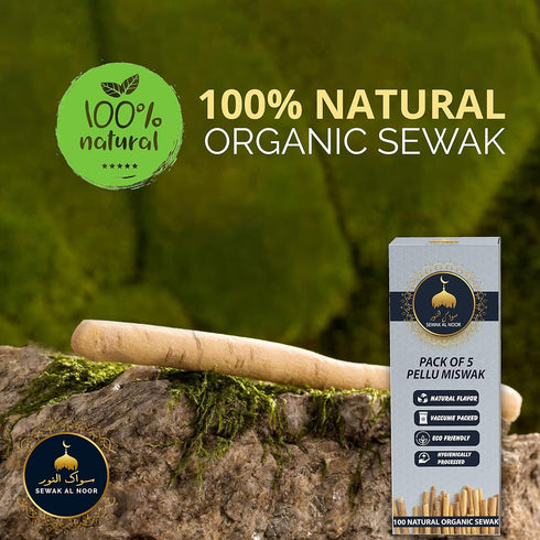 Pack of 5 Miswak Sticks for Teeth with Holder - Vacuum Sealed Natural Flavored Chew Sticks for Humans - Natural Toothbrush for Teeth Whitening, Or...