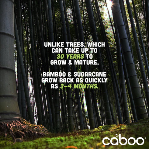 Caboo Tree Free Bamboo Baby Wipes, Eco Friendly Naturally Derived for Sensitive Skin, Resealable Peel Tab Travel Pack, Unscented, 30 Count...