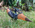 Gemini&Genius Pterodactyl Dinosaur Toys, Flying Dinosaur Figurine, Pteranodon Toys, Pterosaur Model Great Gifts and Cake Toppers or Kid...