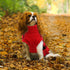 Dog Sweater Dress Plaid Knitwear for Small Medium Dogs Warm Puppy Pet Turtleneck Stretch Pullover Cute Fall Winter Vest Clothes with Leash Hole fo...
