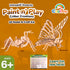 CoolToys Intrepid Insects Paint n' Play 3D Model and Craft Kit - Educational and Fun 3D Wooden Models Building and Painting Set for Kids Ages 6+ -...