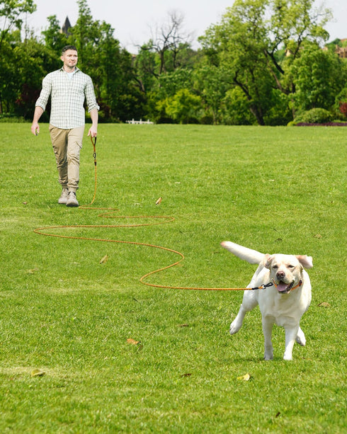 Joytale Long Leash for Dogs, Training Leash with Removable Padded Handle, Double Hook, 15FT/30FT/50FT/65FT Dog Obedience Recall Training Agility L...