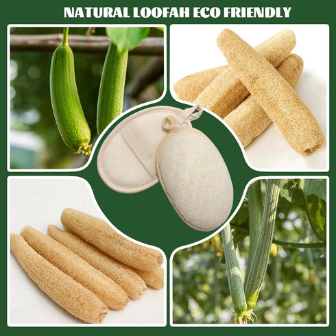 loofah exfoliating Body Scrubber, Perfect loofah Sponge for Men and Women use in Shower, Shower loofah (4 Packs) Made with Natural loofah, Shower ...