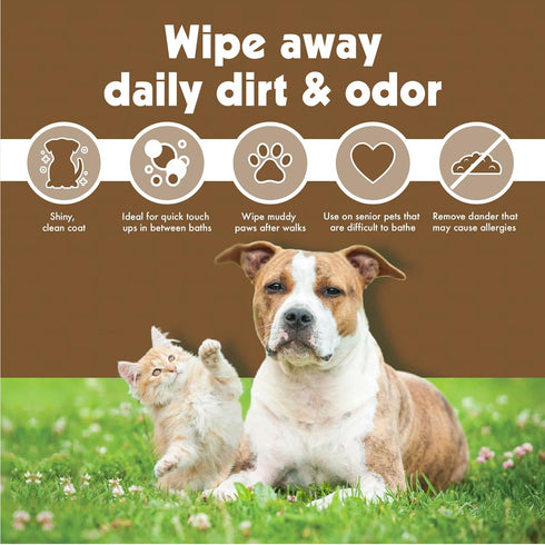 Petkin Pet Wipes for Dogs and Cats, Oatmeal, 100 Wipes (Large) for Dogs and Cats - Soothes Itchy Dry Skin and Cleans Ears, Face, Butt, Body and Ey...
