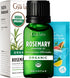 Gya Labs USDA Certified Organic Rosemary Essential Oil for Hair & Scalp - 100% Pure Natural Rosemary Oil Organic for Skin & Diffuser - Natural Aro...