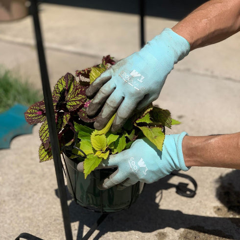 Wells Lamont Women's COOLMAX PU Coated Work Gloves, Medium (500M), Aqua...