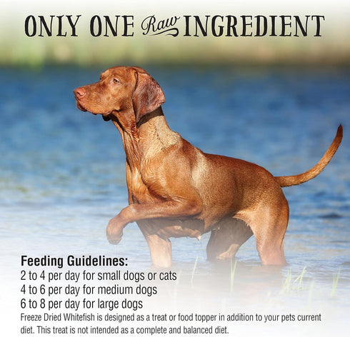 Northwest Naturals Raw Rewards Freeze-Dried Whitefish Treats for Dogs and Cats - Bite-Sized Pieces - Healthy, 1 Ingredient, Human Grade Pet Food, ...