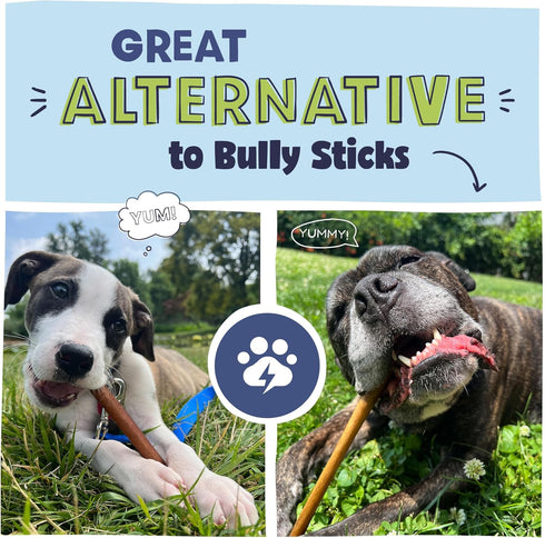 Pawstruck All Natural 11-12" Roasted Collagen Sticks for Dogs - Low Odor & Long Lasting Alternative to Bully Sticks and Rawhide Chews - Single Ing...