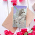 PHOENIX Small Painting Canvas Panels 3x5 Inch, 12 Value Pack - 8 Oz Triple Primed 100% Cotton Acid Free Canvas Boards for Painting, White Blank Fl...