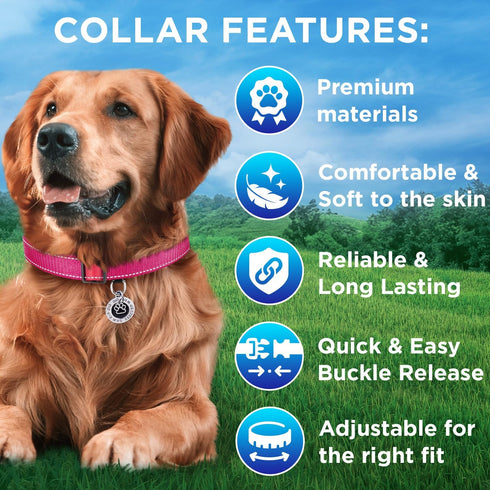 TECEUM Reflective Pet Collar – Hot Pink – L – Basic Nylon Dog Collar – Quick Release Buckle – Fits Small, Medium and Large Dogs, Puppies, Cats – E...