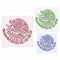 Mexican Symbol Flag Stencil - for Craft, Walls, Canvases - Reusable & Durable - 10 mil Mylar - 3 Stencils Bundle...