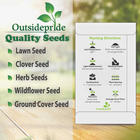 Outsidepride 5000 Seeds Perennial Tanacetum Vulgare Tansy Herb Garden Seeds for Planting...